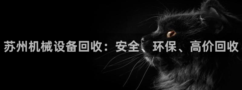 九游会官网老哥俱乐部