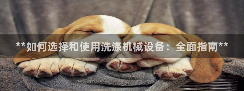 九游会老哥俱乐部官网