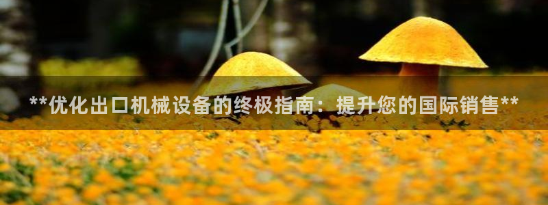 九游会平台登录不上