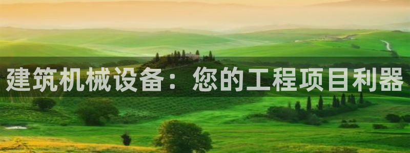 九游会老哥论坛