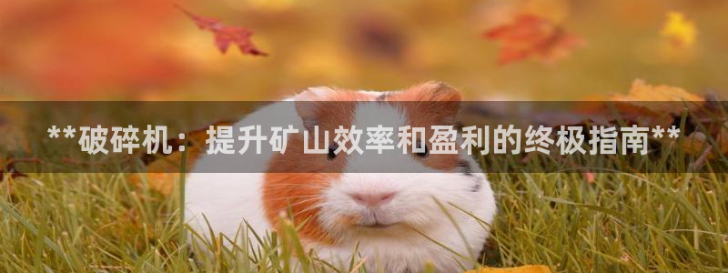九游会可靠吗