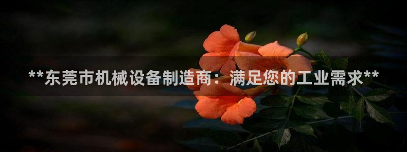 九游会j9网站首页