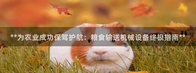 九游会是什么平台