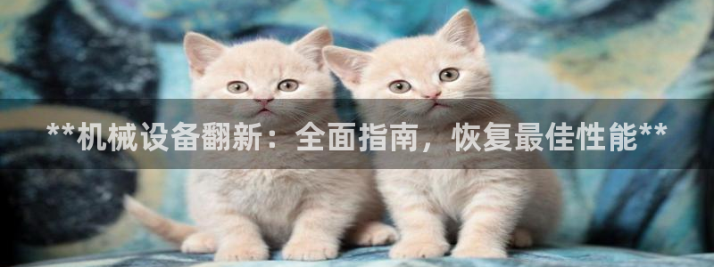 九游会个人中心登录页面