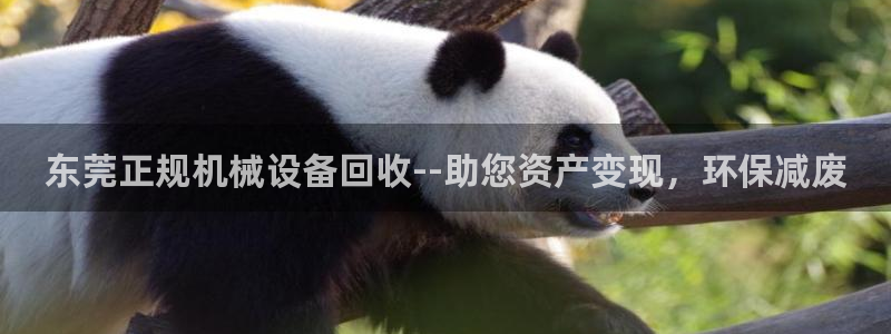 九游会官网ag