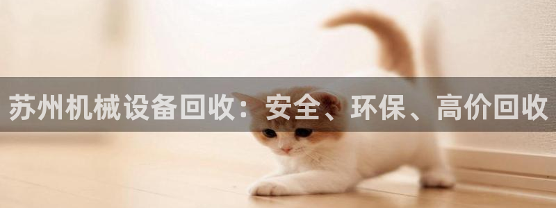 九游会网址登录不上
