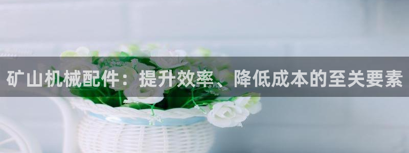 九游会集团货币