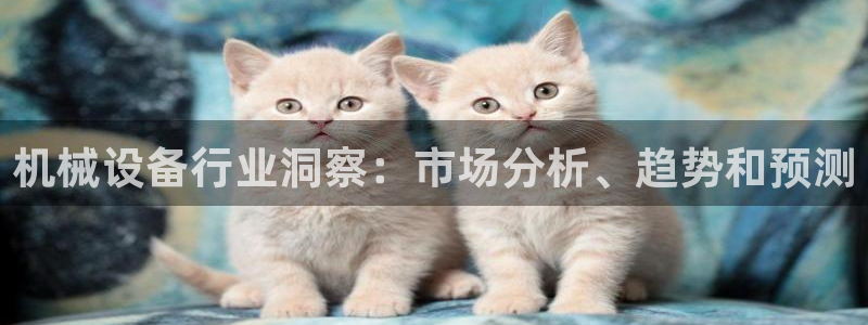 九游会网址大全