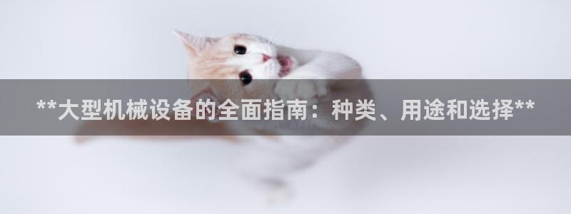 九游会数字货币