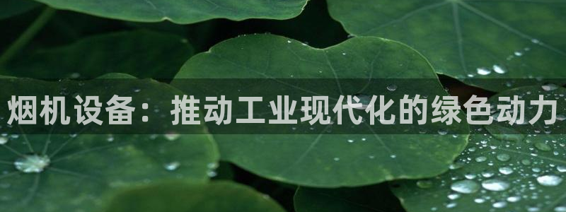 j9九游会网址