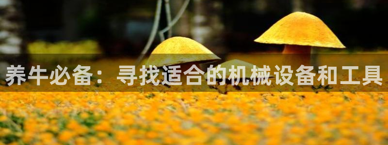 9游会ag