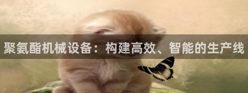 j9九游会如何充值