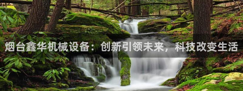 九游会官方首页登录