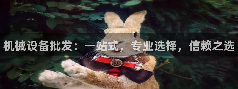 J9九游会登录首页