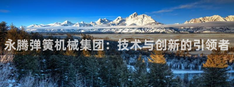 九游会J9官网入口