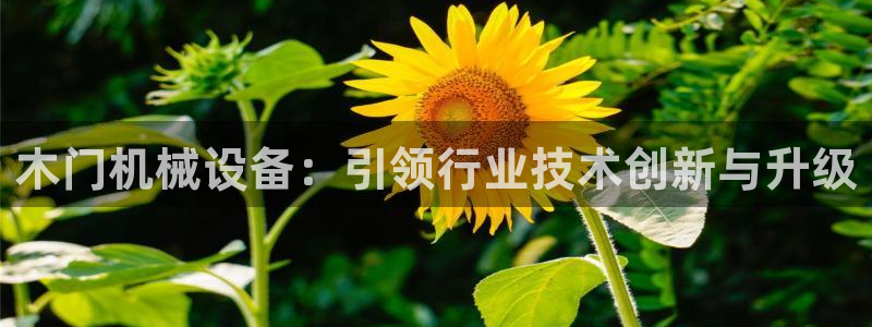 J9九游会J9：木门